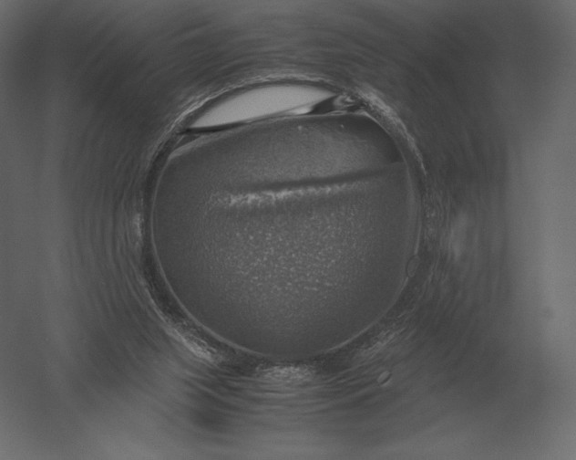 X0000051270063200507011755