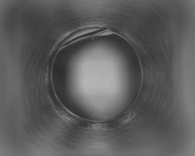 X0000051270064200507011755