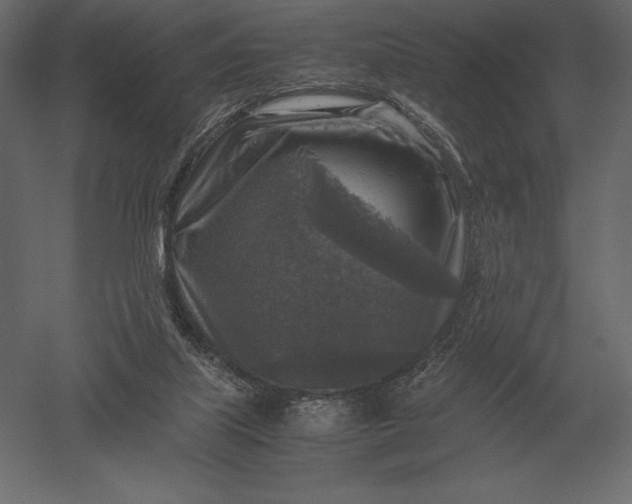 X0000051270067200507011756