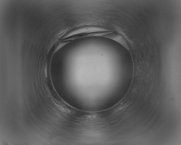 X0000051270068200507011756
