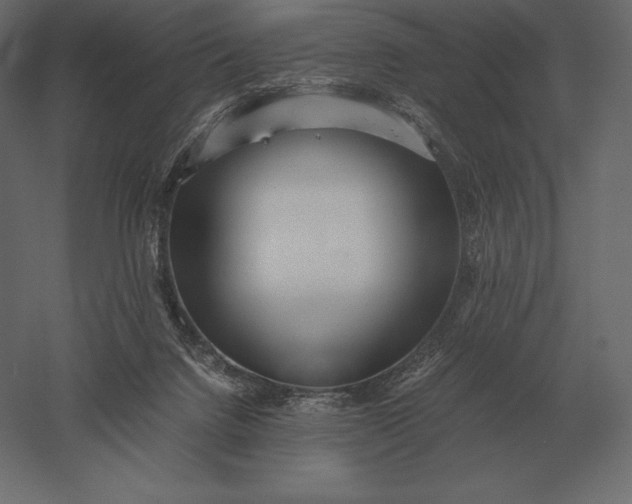 X0000051270072200507011756