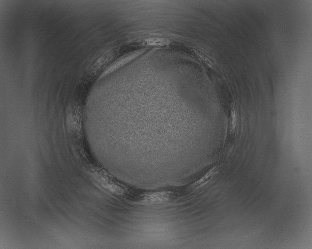 X0000051270078200507011756