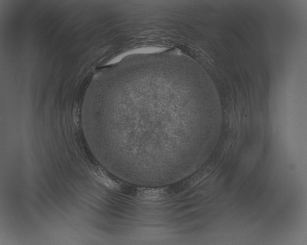 X0000051270081200507011756