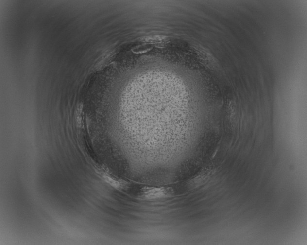 X0000051270083200507011756