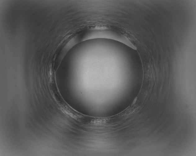 X0000051270084200507011756