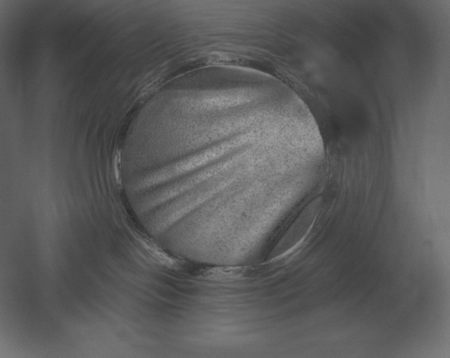 X0000051270094200507011756