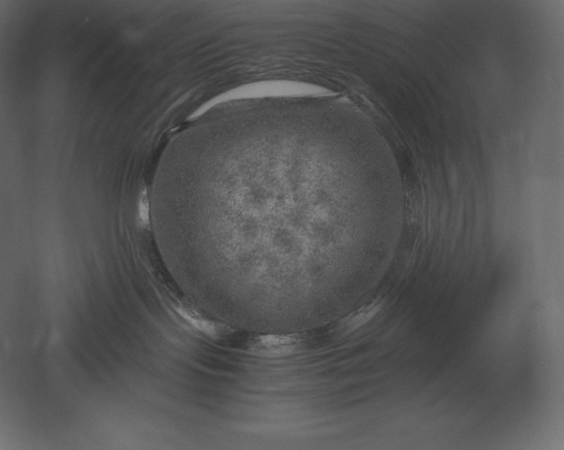 X0000051270095200507011756