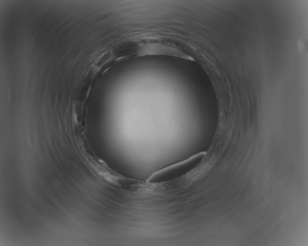 X0000051270096200507011756