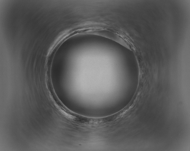 X0000051270101200507011755
