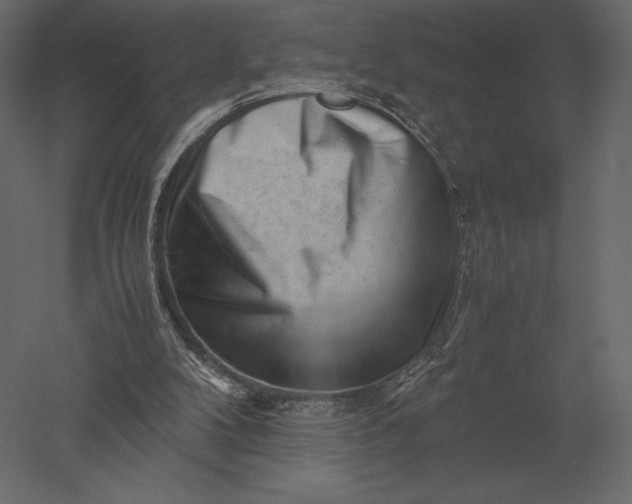 X0000051270104200507011755