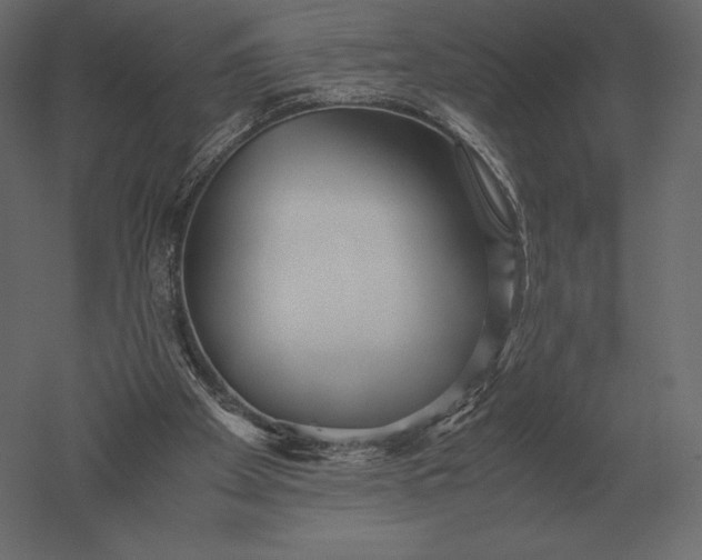 X0000051270105200507011755