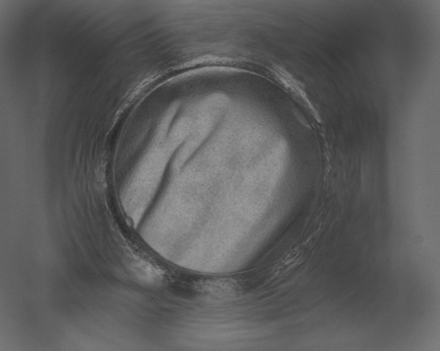 X0000051270106200507011755
