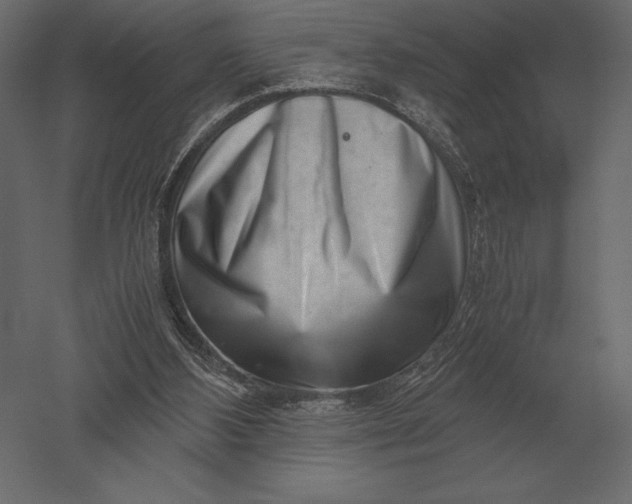X0000051270108200507011755