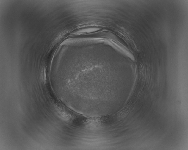 X0000051270110200507011755