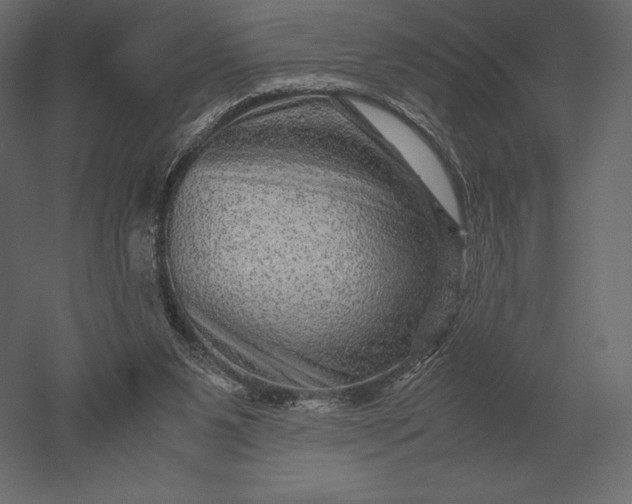 X0000051270111200507011755