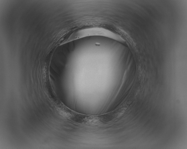 X0000051270113200507011755