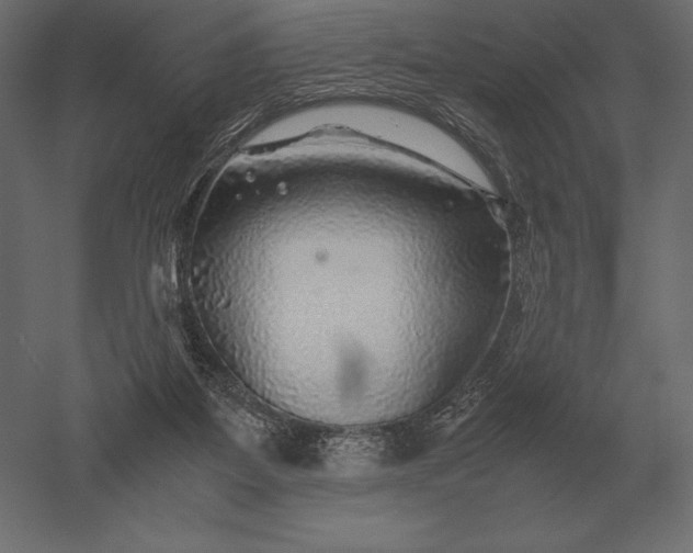 X0000051270115200507011755