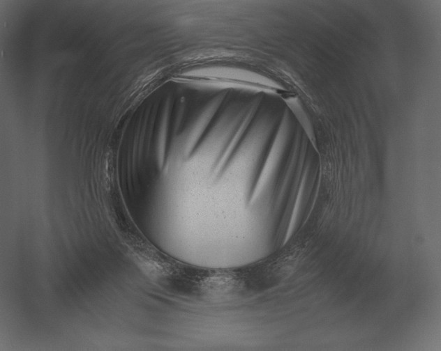 X0000051270119200507011755