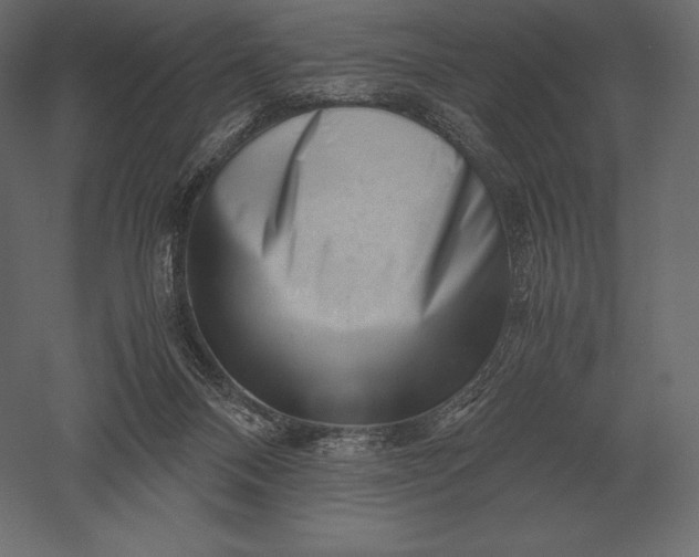 X0000051270120200507011755