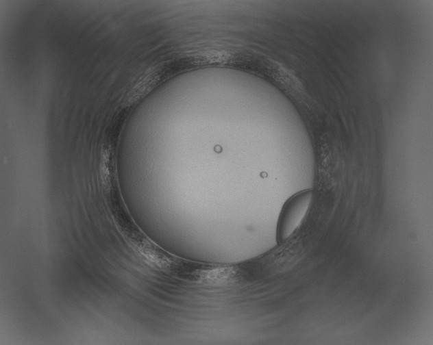 X0000051270122200507011755