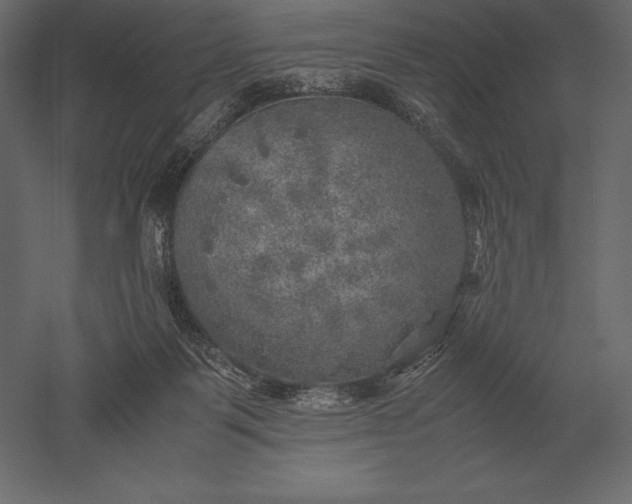 X0000051270123200507011755