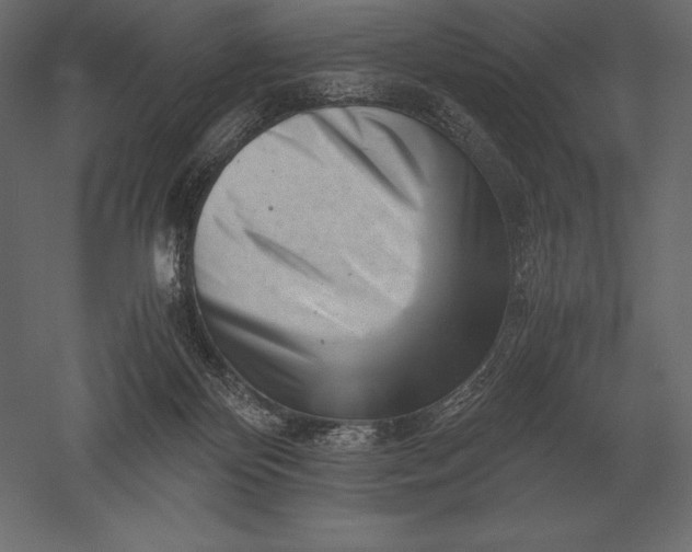 X0000051270124200507011755