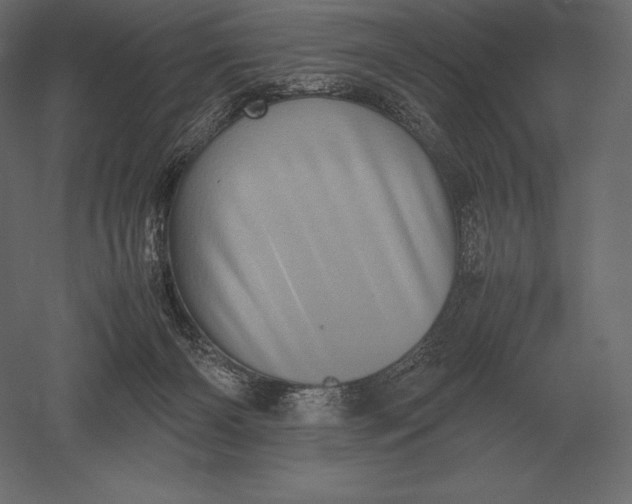 X0000051270126200507011755
