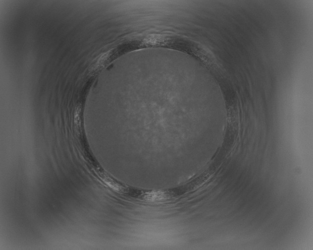 X0000051270127200507011755