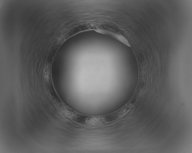 X0000051270129200507011755