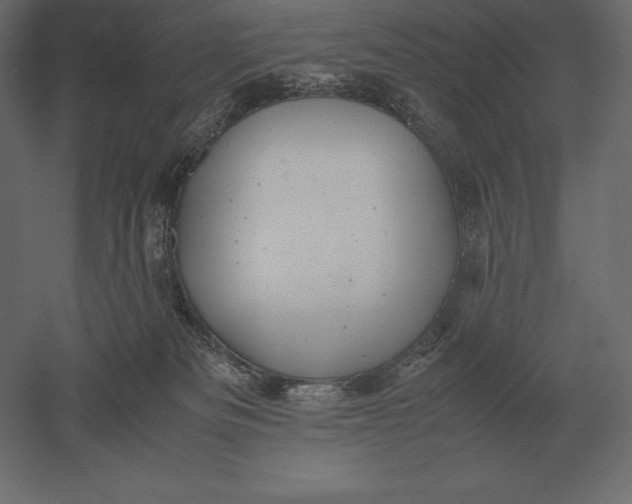 X0000051270133200507011755
