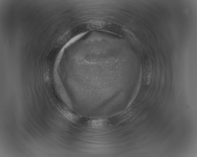 X0000051270134200507011755