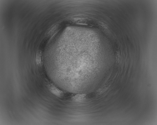 X0000051270138200507011755