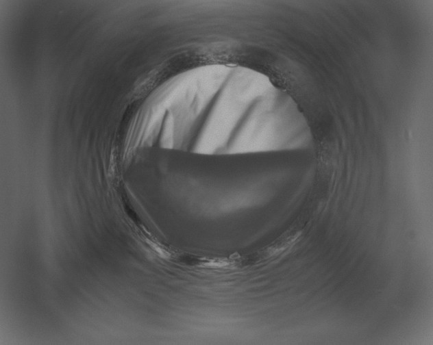 X0000051270139200507011754