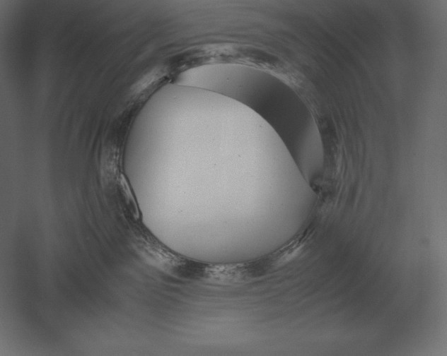 X0000051270141200507011754