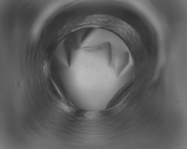 X0000051270142200507011754