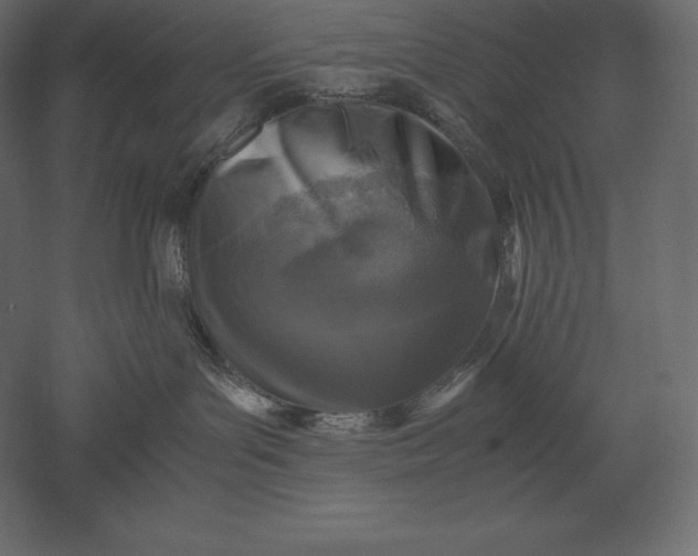X0000051270143200507011754