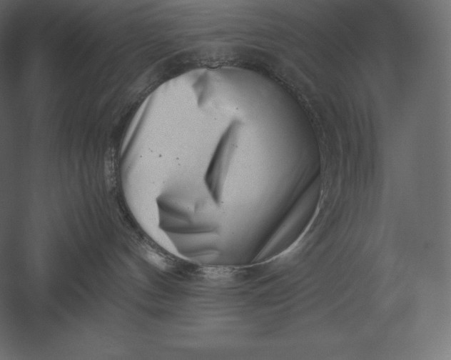 X0000051270144200507011754