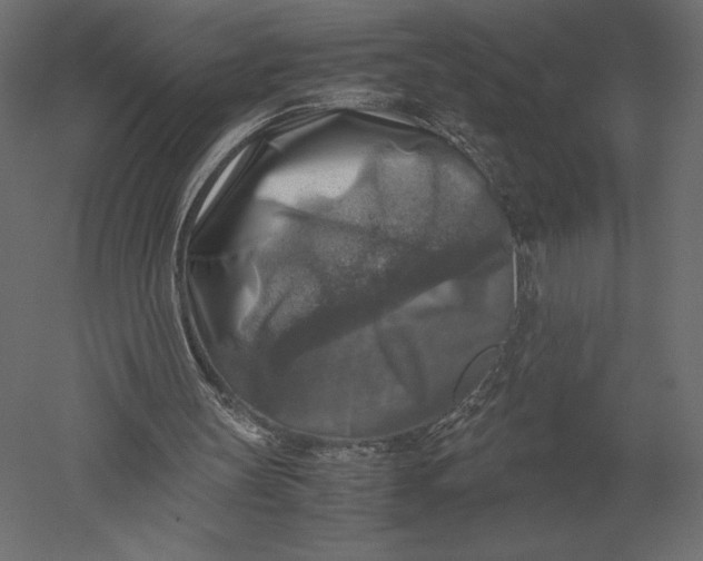 X0000051270147200507011754