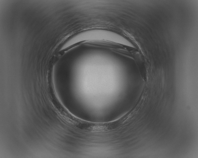 X0000051270154200507011754