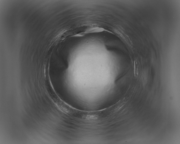 X0000051270157200507011754