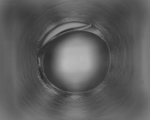 X0000051270158200507011754