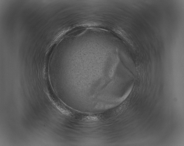 X0000051270159200507011754