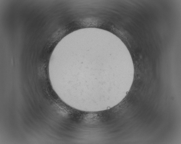 X0000051270162200507011754
