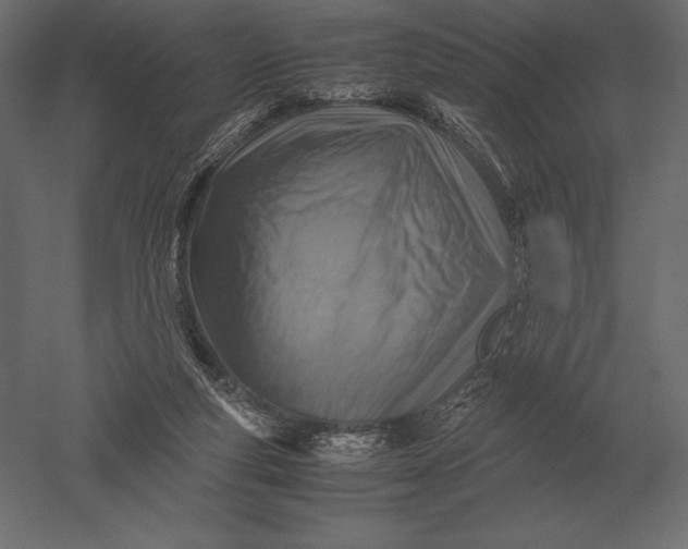 X0000051270163200507011754