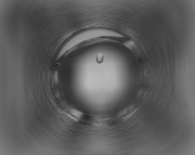 X0000051270164200507011754