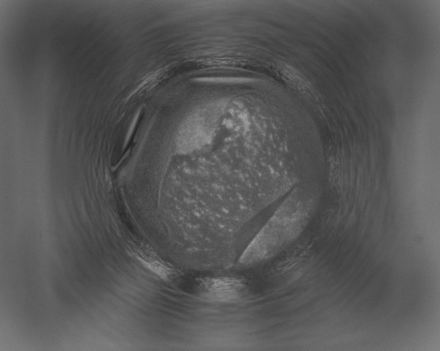 X0000051270165200507011754