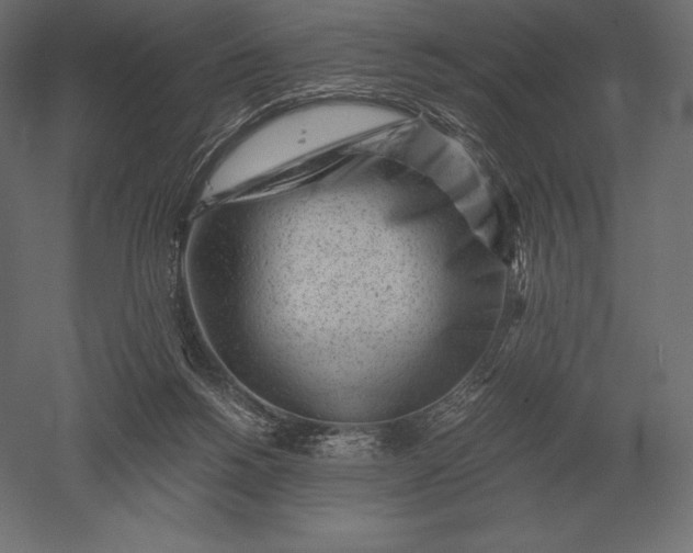 X0000051270168200507011754