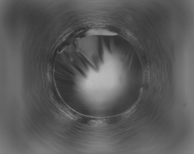X0000051270170200507011754