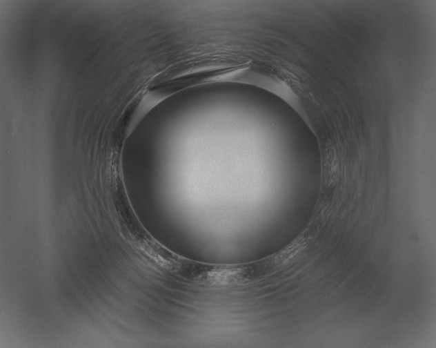 X0000051270172200507011754