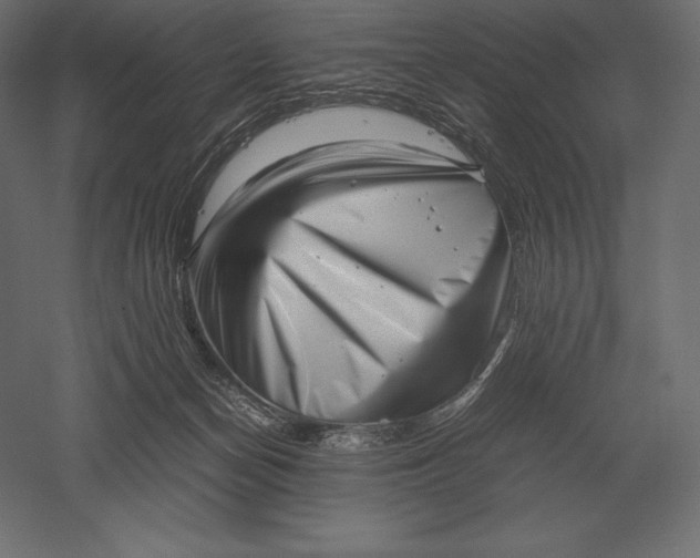 X0000051270174200507011754